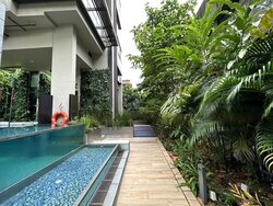 8-hullet photo thumbnail #1